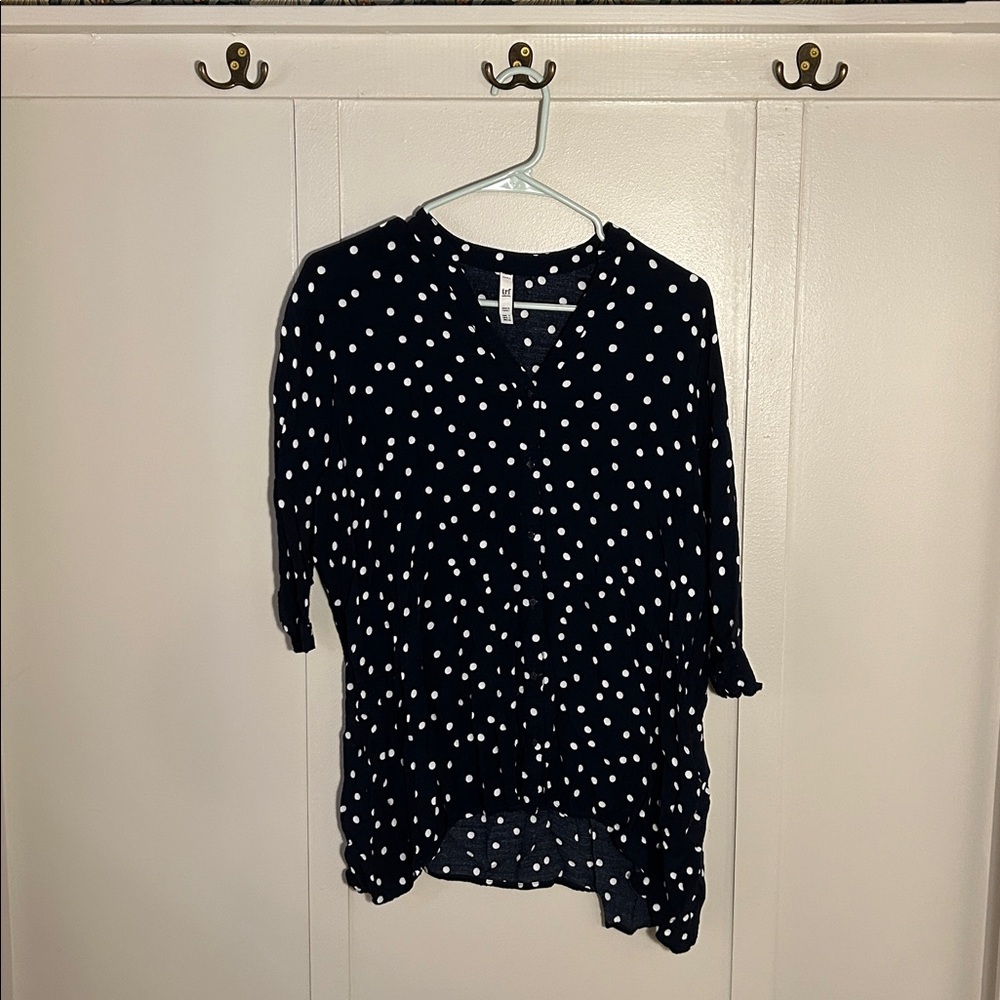 Zara Polka Dot Button Down Blouse